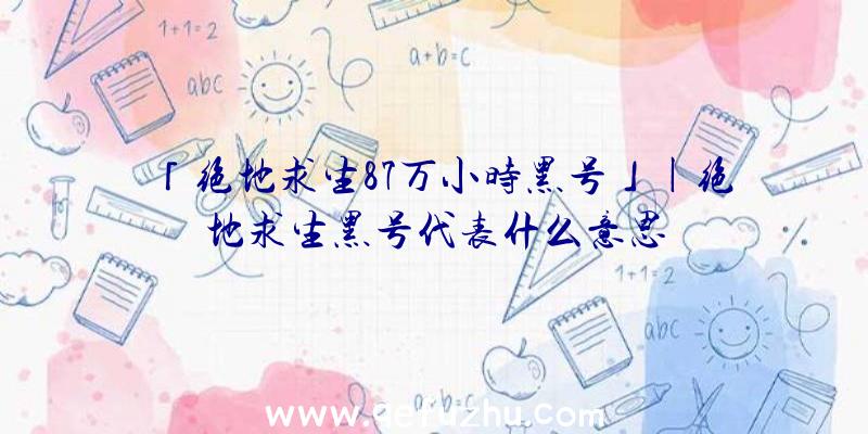 「绝地求生87万小时黑号」|绝地求生黑号代表什么意思